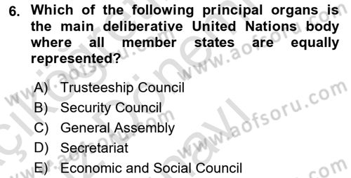International Organization And Global Governance Dersi 2022 - 2023 Yılı (Final) Dönem Sonu Sınav Soruları 6. Soru