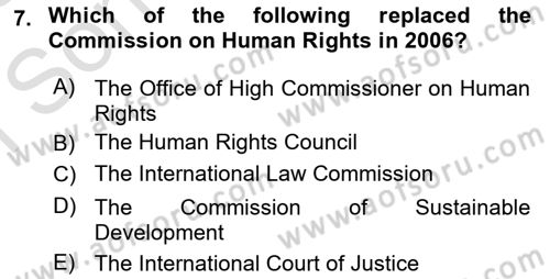 International Organization And Global Governance Dersi 2022 - 2023 Yılı (Final) Dönem Sonu Sınav Soruları 7. Soru
