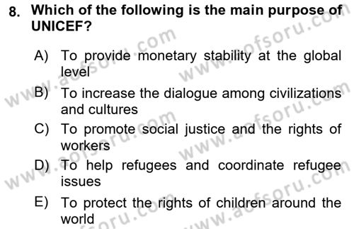 International Organization And Global Governance Dersi 2022 - 2023 Yılı (Final) Dönem Sonu Sınav Soruları 8. Soru