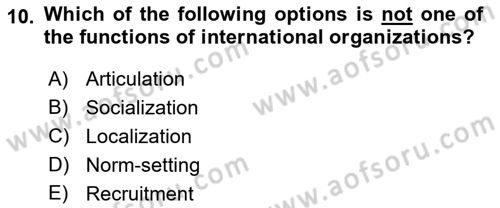 International Organization And Global Governance Dersi 2022 - 2023 Yılı Yaz Okulu Sınav Soruları 10. Soru