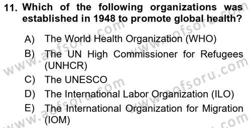 International Organization And Global Governance Dersi 2022 - 2023 Yılı Yaz Okulu Sınav Soruları 11. Soru