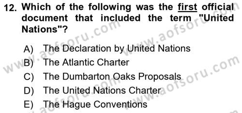 International Organization And Global Governance Dersi 2022 - 2023 Yılı Yaz Okulu Sınav Soruları 12. Soru