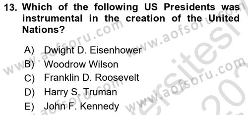 International Organization And Global Governance Dersi 2022 - 2023 Yılı Yaz Okulu Sınav Soruları 13. Soru