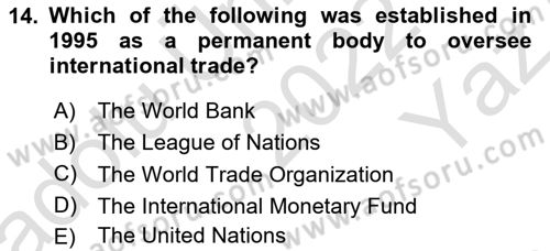 International Organization And Global Governance Dersi 2022 - 2023 Yılı Yaz Okulu Sınav Soruları 14. Soru
