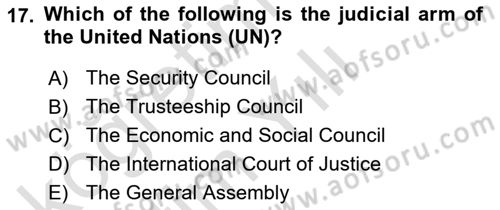International Organization And Global Governance Dersi 2022 - 2023 Yılı Yaz Okulu Sınav Soruları 17. Soru