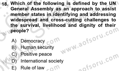 International Organization And Global Governance Dersi 2022 - 2023 Yılı Yaz Okulu Sınav Soruları 18. Soru