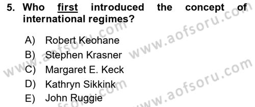 International Organization And Global Governance Dersi 2022 - 2023 Yılı Yaz Okulu Sınav Soruları 5. Soru