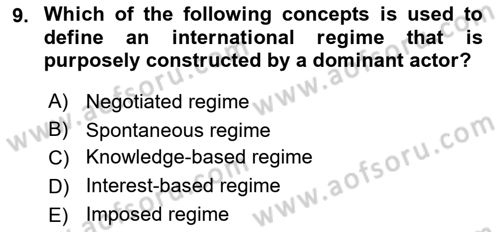 International Organization And Global Governance Dersi 2022 - 2023 Yılı Yaz Okulu Sınav Soruları 9. Soru