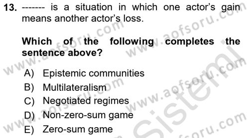 International Organization And Global Governance Dersi 2023 - 2024 Yılı (Vize) Ara Sınav Soruları 13. Soru