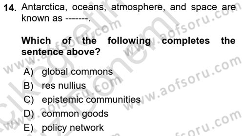 International Organization And Global Governance Dersi 2023 - 2024 Yılı (Vize) Ara Sınav Soruları 14. Soru