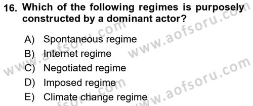 International Organization And Global Governance Dersi 2023 - 2024 Yılı (Vize) Ara Sınav Soruları 16. Soru