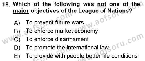 International Organization And Global Governance Dersi 2023 - 2024 Yılı (Vize) Ara Sınav Soruları 18. Soru