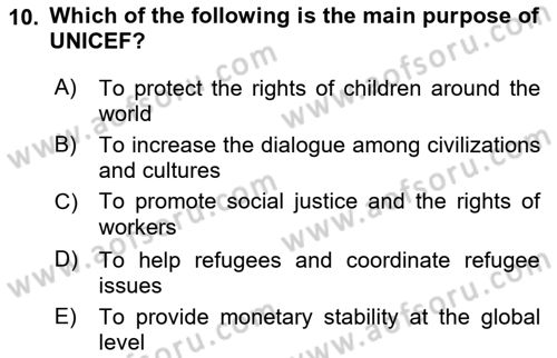 International Organization And Global Governance Dersi 2023 - 2024 Yılı (Final) Dönem Sonu Sınav Soruları 10. Soru