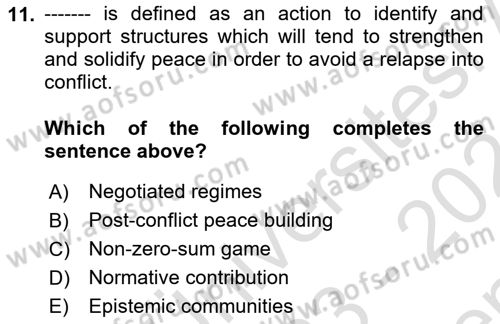 International Organization And Global Governance Dersi 2023 - 2024 Yılı (Final) Dönem Sonu Sınav Soruları 11. Soru