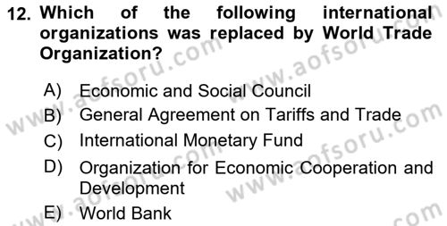 International Organization And Global Governance Dersi 2023 - 2024 Yılı (Final) Dönem Sonu Sınav Soruları 12. Soru
