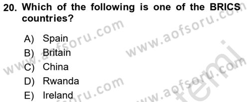 International Organization And Global Governance Dersi 2023 - 2024 Yılı (Final) Dönem Sonu Sınav Soruları 20. Soru