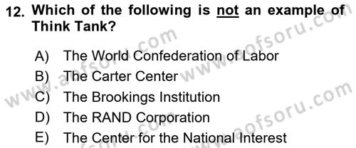 International Organization And Global Governance Dersi 2023 - 2024 Yılı Yaz Okulu Sınav Soruları 12. Soru