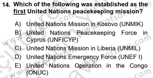 International Organization And Global Governance Dersi 2023 - 2024 Yılı Yaz Okulu Sınav Soruları 14. Soru