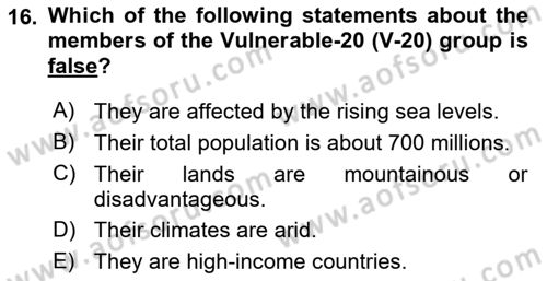 International Organization And Global Governance Dersi 2023 - 2024 Yılı Yaz Okulu Sınav Soruları 16. Soru