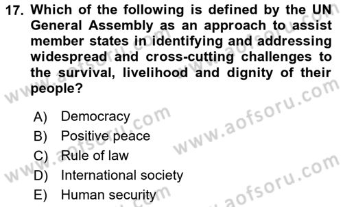 International Organization And Global Governance Dersi 2023 - 2024 Yılı Yaz Okulu Sınav Soruları 17. Soru