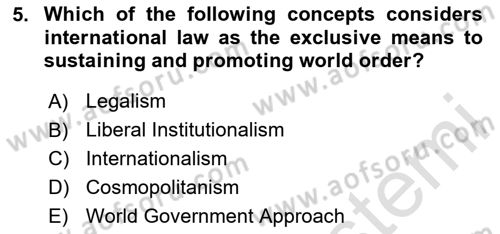 International Organization And Global Governance Dersi 2023 - 2024 Yılı Yaz Okulu Sınav Soruları 5. Soru