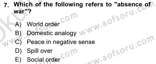 International Organization And Global Governance Dersi 2023 - 2024 Yılı Yaz Okulu Sınav Soruları 7. Soru
