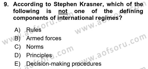 International Organization And Global Governance Dersi 2023 - 2024 Yılı Yaz Okulu Sınav Soruları 9. Soru