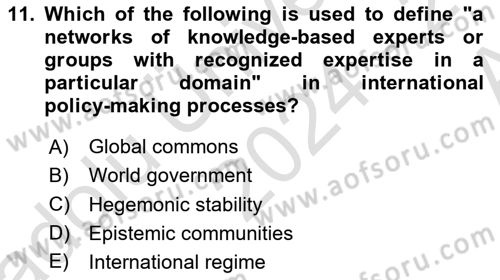 International Organization And Global Governance Dersi 2024 - 2025 Yılı (Vize) Ara Sınav Soruları 11. Soru