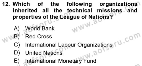 International Organization And Global Governance Dersi 2024 - 2025 Yılı (Vize) Ara Sınav Soruları 12. Soru