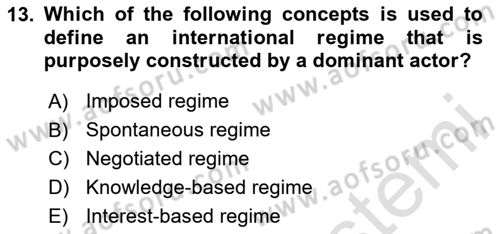 International Organization And Global Governance Dersi 2024 - 2025 Yılı (Vize) Ara Sınav Soruları 13. Soru