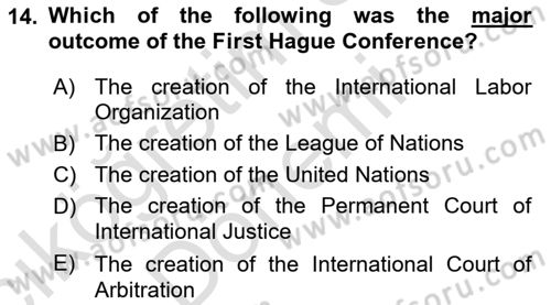 International Organization And Global Governance Dersi 2024 - 2025 Yılı (Vize) Ara Sınav Soruları 14. Soru