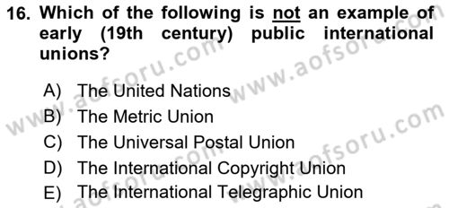 International Organization And Global Governance Dersi 2024 - 2025 Yılı (Vize) Ara Sınav Soruları 16. Soru
