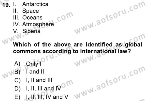 International Organization And Global Governance Dersi 2024 - 2025 Yılı (Vize) Ara Sınav Soruları 19. Soru