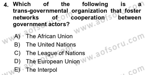 International Organization And Global Governance Dersi 2024 - 2025 Yılı (Vize) Ara Sınav Soruları 4. Soru