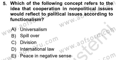 International Organization And Global Governance Dersi 2024 - 2025 Yılı (Vize) Ara Sınav Soruları 5. Soru