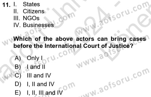 International Organization And Global Governance Dersi 2024 - 2025 Yılı (Final) Dönem Sonu Sınav Soruları 11. Soru