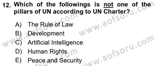 International Organization And Global Governance Dersi 2024 - 2025 Yılı (Final) Dönem Sonu Sınav Soruları 12. Soru