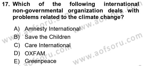 International Organization And Global Governance Dersi 2024 - 2025 Yılı (Final) Dönem Sonu Sınav Soruları 17. Soru
