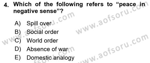 International Organization And Global Governance Dersi 2024 - 2025 Yılı (Final) Dönem Sonu Sınav Soruları 4. Soru