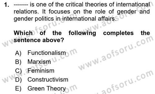 International Organization And Global Governance Dersi 2024 - 2025 Yılı Yaz Okulu Sınav Soruları 1. Soru