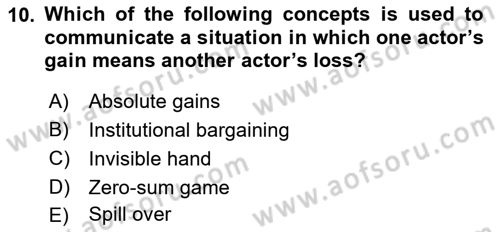International Organization And Global Governance Dersi 2024 - 2025 Yılı Yaz Okulu Sınav Soruları 10. Soru