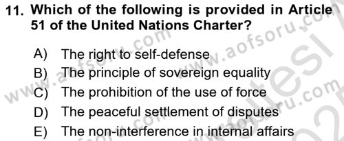International Organization And Global Governance Dersi 2024 - 2025 Yılı Yaz Okulu Sınav Soruları 11. Soru