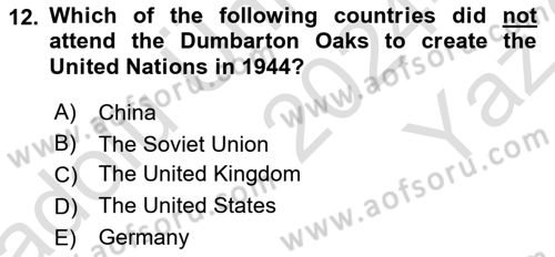 International Organization And Global Governance Dersi 2024 - 2025 Yılı Yaz Okulu Sınav Soruları 12. Soru