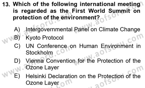 International Organization And Global Governance Dersi 2024 - 2025 Yılı Yaz Okulu Sınav Soruları 13. Soru