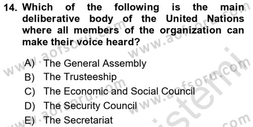 International Organization And Global Governance Dersi 2024 - 2025 Yılı Yaz Okulu Sınav Soruları 14. Soru