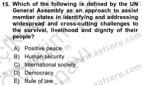 International Organization And Global Governance Dersi 2024 - 2025 Yılı Yaz Okulu Sınav Soruları 15. Soru