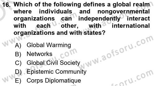 International Organization And Global Governance Dersi 2024 - 2025 Yılı Yaz Okulu Sınav Soruları 16. Soru