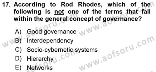 International Organization And Global Governance Dersi 2024 - 2025 Yılı Yaz Okulu Sınav Soruları 17. Soru