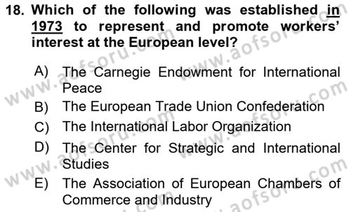 International Organization And Global Governance Dersi 2024 - 2025 Yılı Yaz Okulu Sınav Soruları 18. Soru