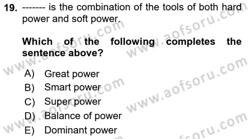 International Organization And Global Governance Dersi 2024 - 2025 Yılı Yaz Okulu Sınav Soruları 19. Soru
